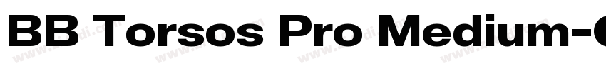 BB Torsos Pro Medium字体转换
